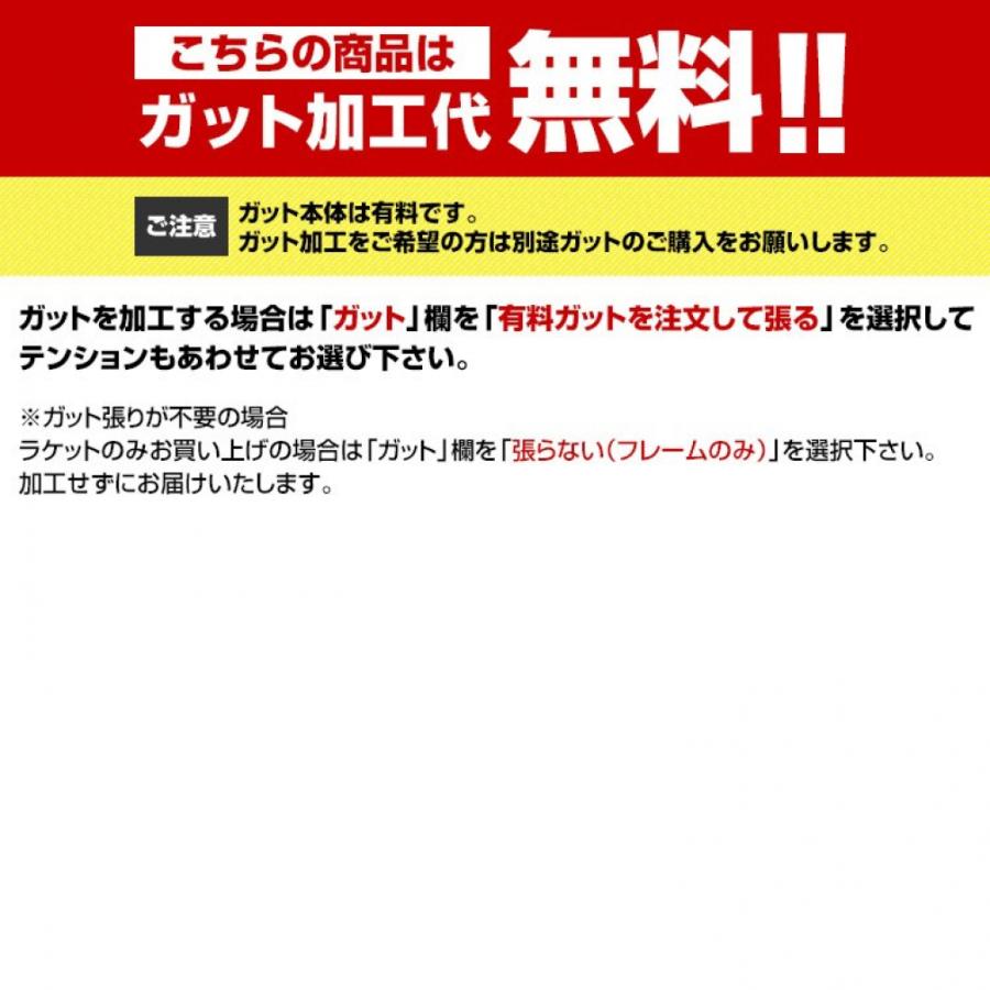 アックスフォース60 Li-Ning AxForce 60 Badminton Racket
