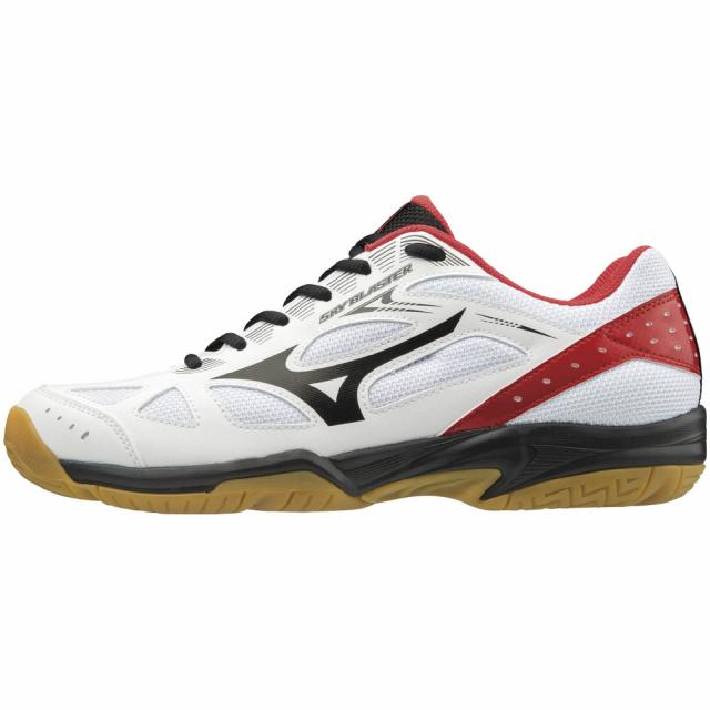 MIZUNO 日本バドミントン協会検定合格品 ミズノ 新入生向け 張り