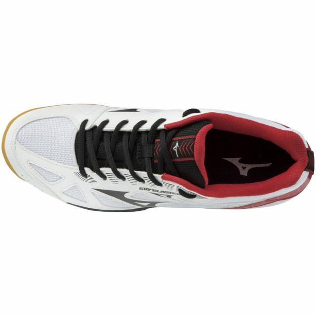 MIZUNO 日本バドミントン協会検定合格品 ミズノ 新入生向け 張り