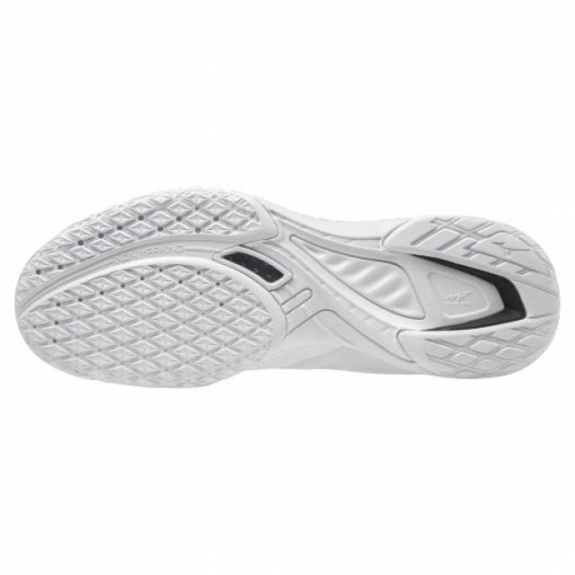 MIZUNO（ミズノ） WAVE DRIVE EL ウエーブドライブEL 81GA200101 メンズ レディース 卓球 シューズ 2E ...
