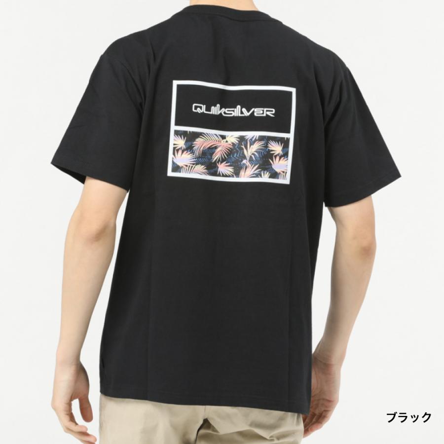 QUIKSILVER Tシャツ Quiksilver（クイックシルバー） メンズ サーフ 半袖Tシャツ BS BOX ST