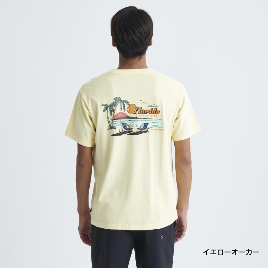 Quiksilver（クイックシルバー） メンズ サーフ 半袖Tシャツ FL STATE