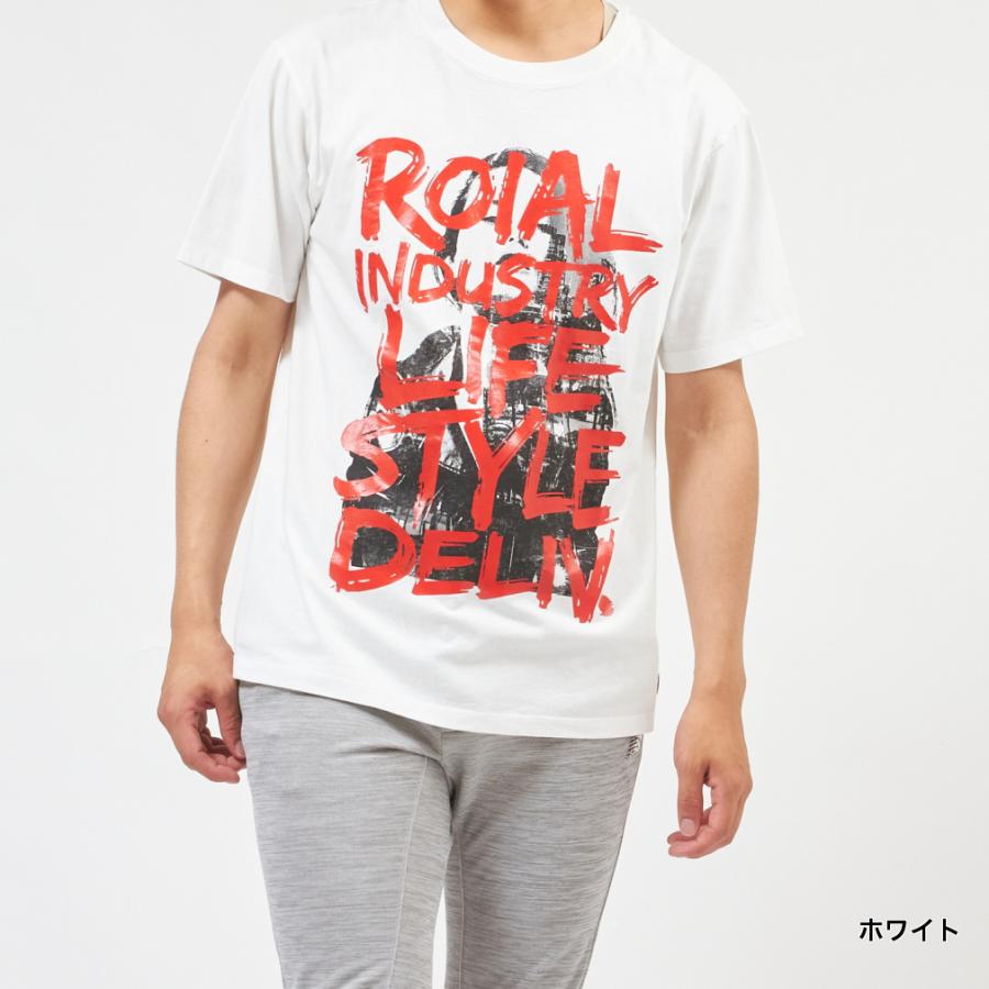 ロイアル メンズ サーフ 半袖Tシャツ S/S TEE R102MDT12 roial｜alpen-group｜03