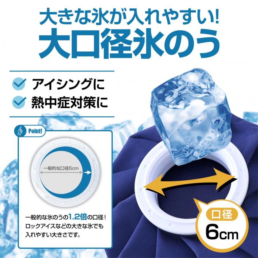 TIGORA（ティゴラ） 氷嚢 氷のう アイスバッグ 2個セット 大口径6cm