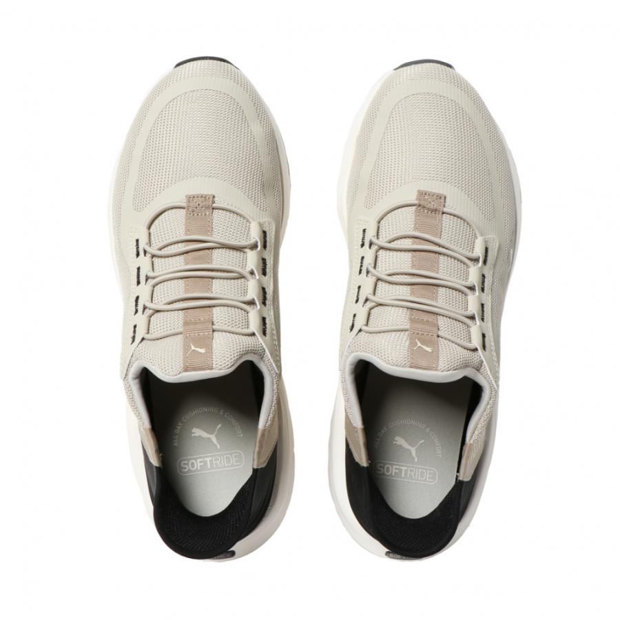 トイプー 4_000000043690.jpg?1753418283