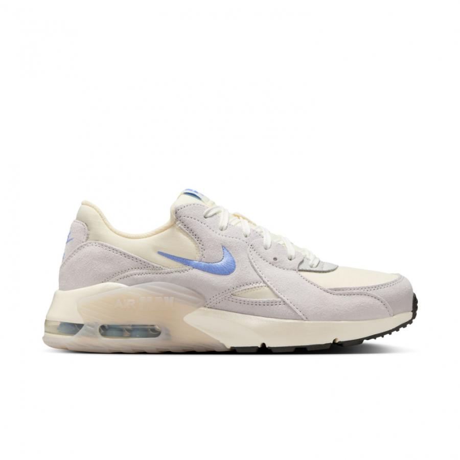 NIKE（ナイキ） ウィメンズ エア マックス エクシー IB8160-113