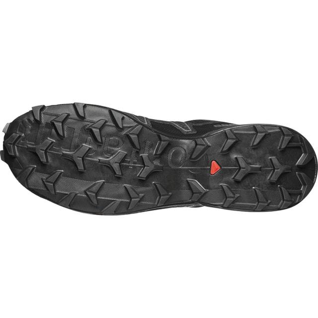 SALOMON（サロモン） SPEEDCROSS 6 GTX 20 YEARS Q1 スピードクロス6