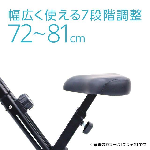 ティゴラ フィットネスバイク TR FB003-XB BK ブラック 静音 1年