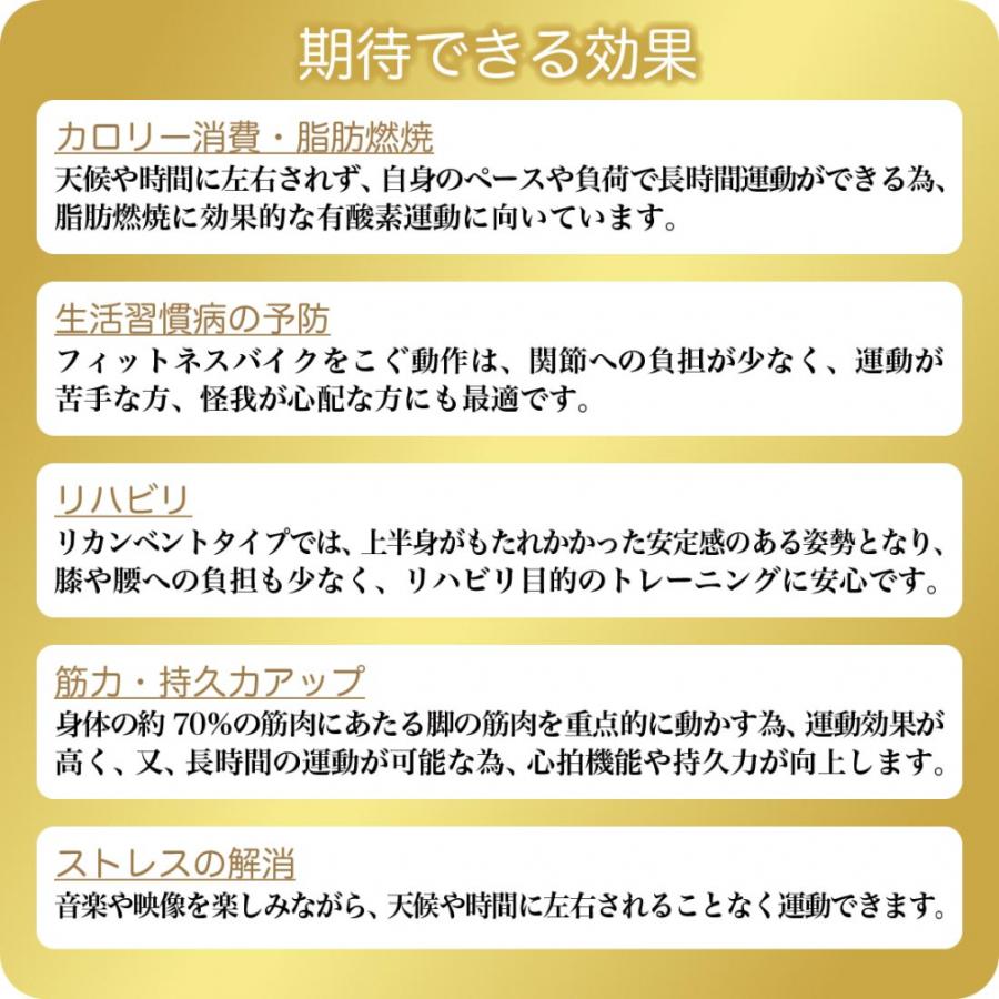 ティゴラ リカンベント TR FB004 フィットネスバイク フィットネスマシン TIGORA 