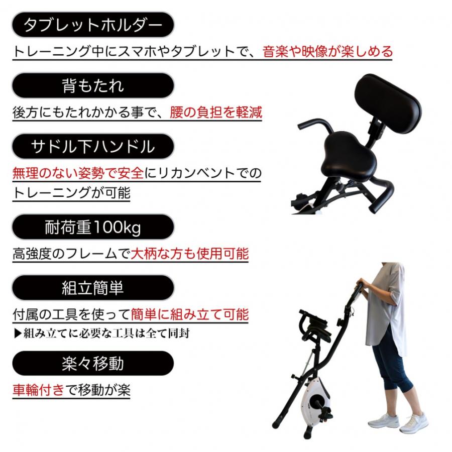TIGORA ティゴラ 一台二役 アップライト リカンベント TIGORA ティゴラ 一台二役 アップライト リカンベント