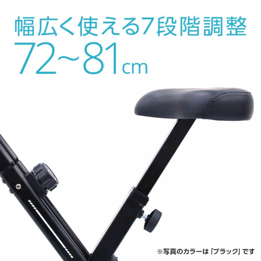 TIGORA（ティゴラ） フィットネスバイク ブラック +マッスルフロア