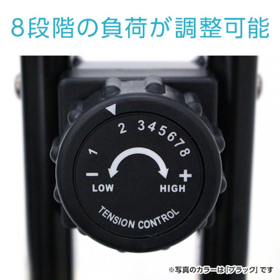 TIGORA（ティゴラ） フィットネスバイク ブラック +マッスルフロア