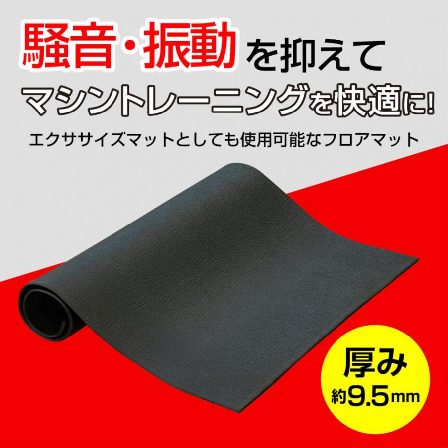 エアロバイク　マットセット TIGORA（ティゴラ） アップライト/リカンベント バイク + マッスル