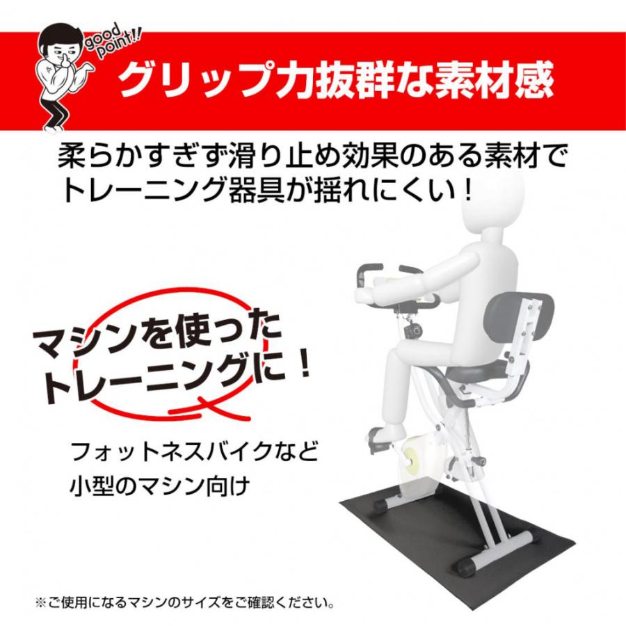 TIGORA（ティゴラ） アップライト/リカンベント バイク + マッスル