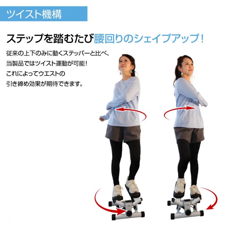 TIGORA（ティゴラ） ステッパー+ステッパー用ハンドルセット ツイスト