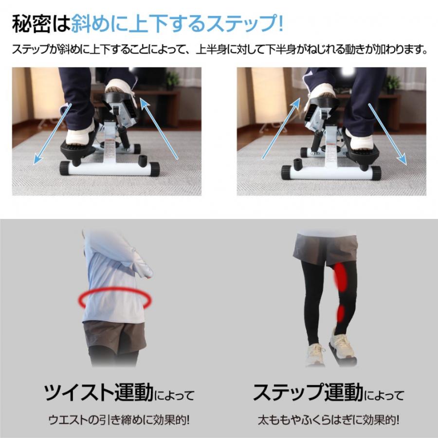 TIGORA（ティゴラ） ステッパー+ステッパー用ハンドルセット ツイスト