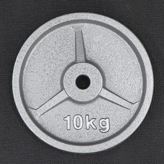 TIGORA（ティゴラ） 着脱式バーベルプレート 10kg バーベル