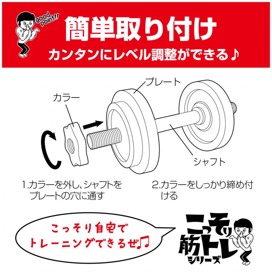 TIGORA（ティゴラ） 着脱式ダンベルプレート 1.25kg ダンベル