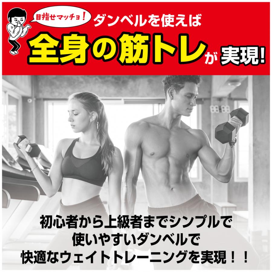 TIGORA（ティゴラ） ラバーダンベル 3kg 3キロ 転がらない 床 保護 筋 