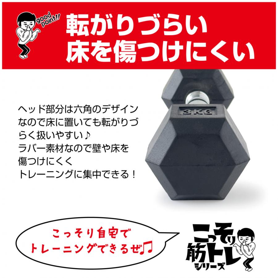 TIGORA（ティゴラ） ラバーダンベル 3kg 3キロ 転がらない 床 保護 筋