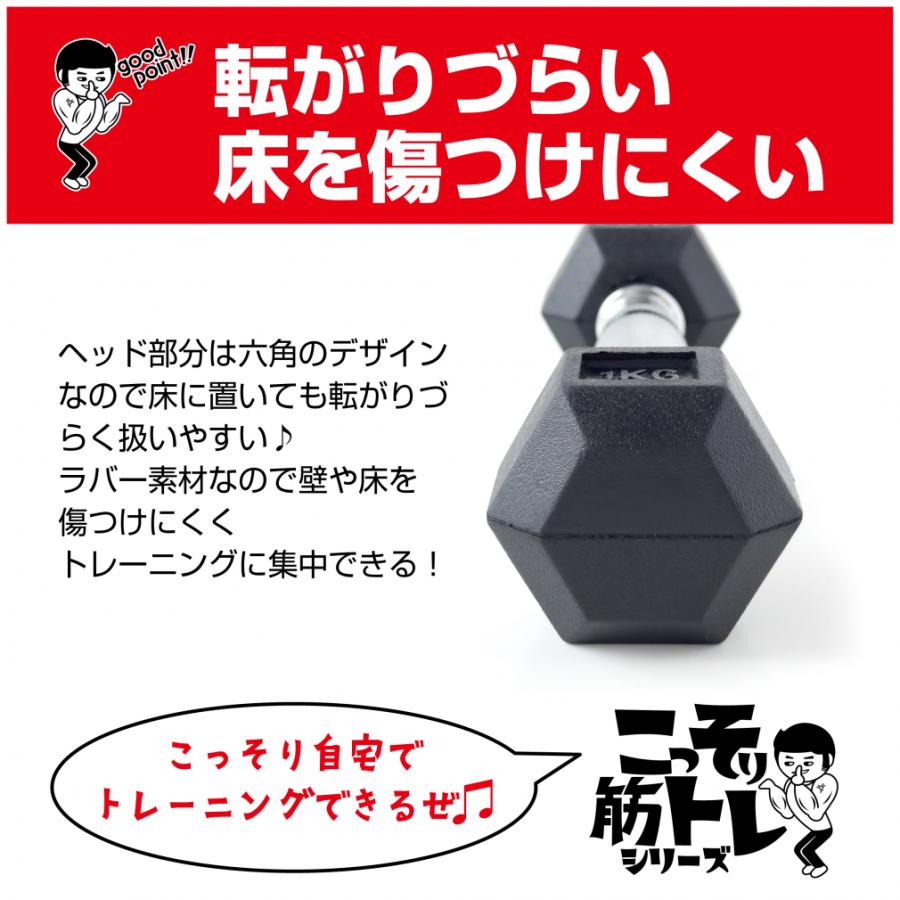 TIGORA（ティゴラ） ラバーダンベル 1kg 1キロ 転がらない 床 保護 筋