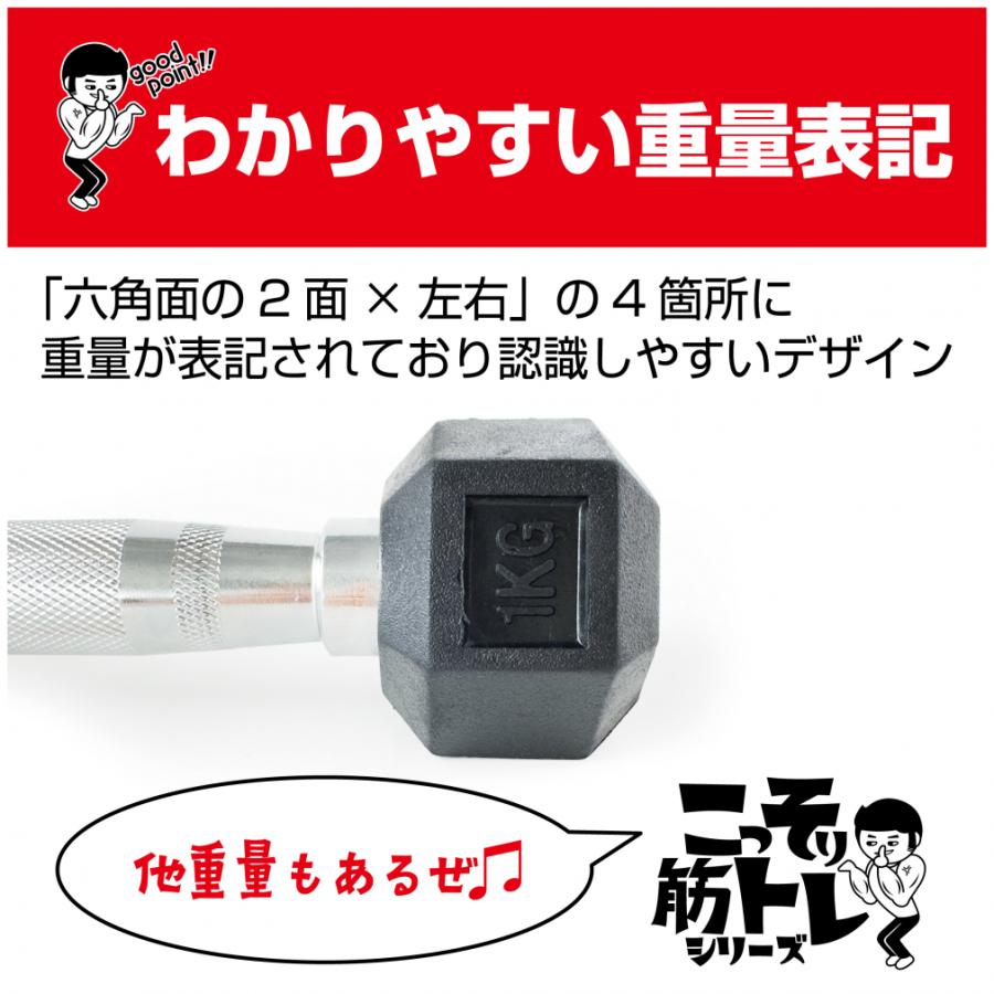 TIGORA（ティゴラ） ラバーダンベル 1kg 1キロ 転がらない 床 保護 筋