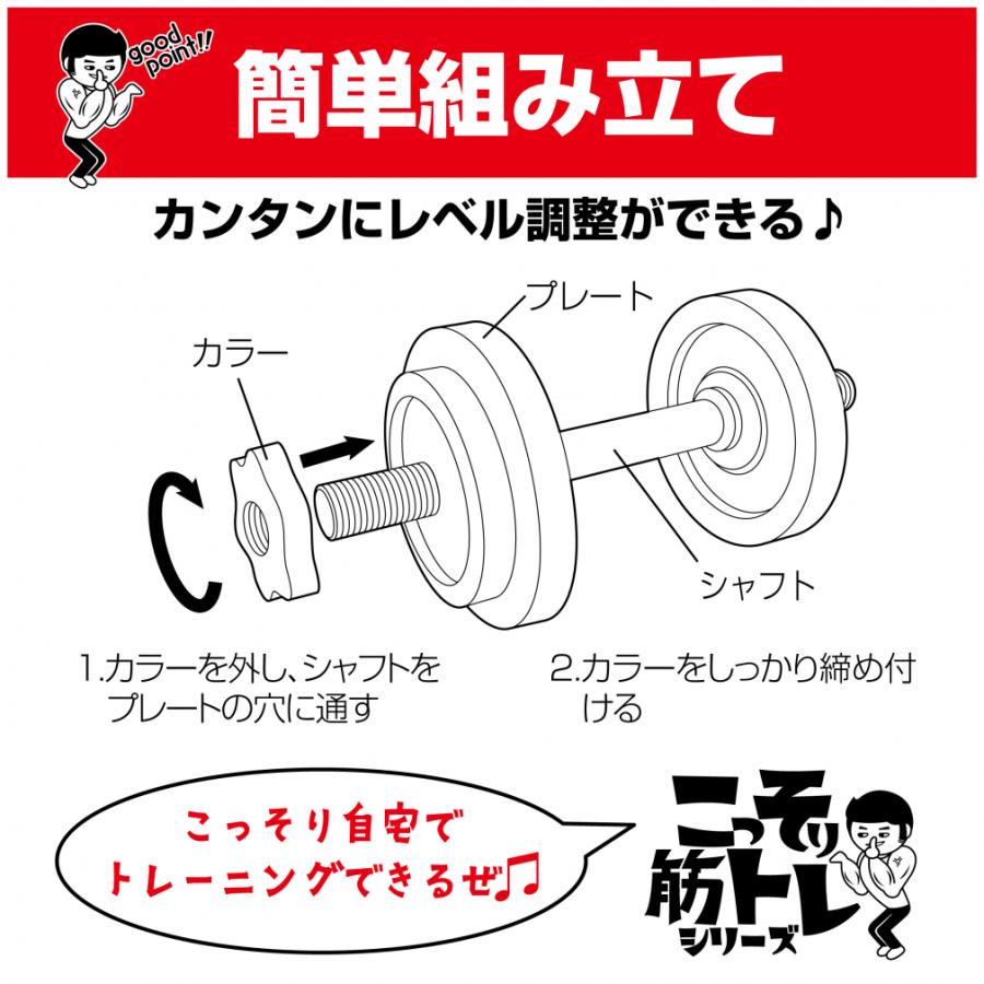 ダンベルセット プレート シャフト グローブ付き アイアンダンベル