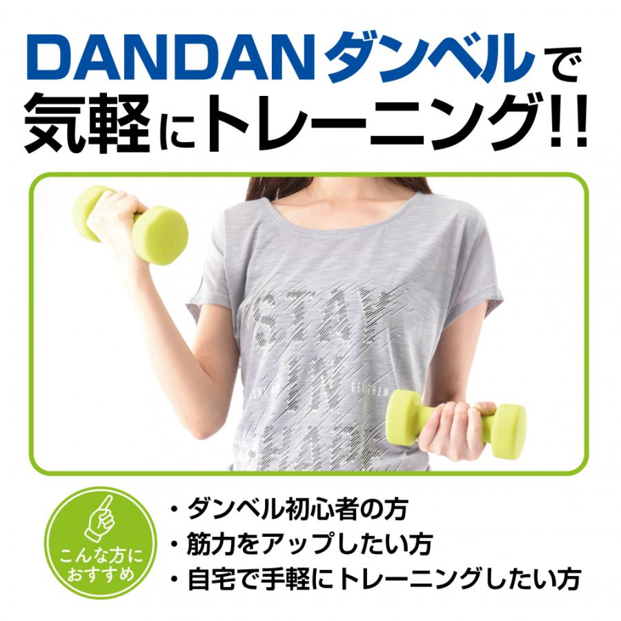 TIGORA（ティゴラ） DANDANダンベル 2KG 2本入り 鉄 カラーダンベル
