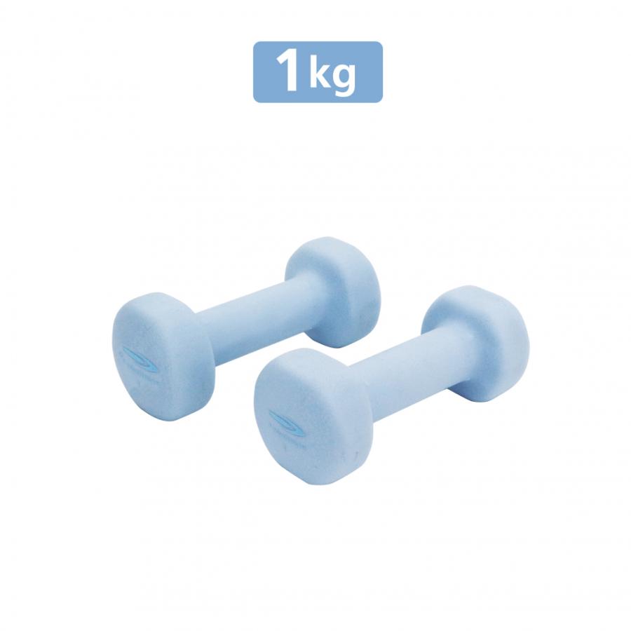 TIGORA ティゴラ DANDANダンベル 1KG 2本入り 鉄 カラーダンベル