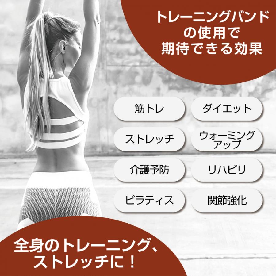 TIGORA（ティゴラ） グィーン!トレーニングバンドセット 5本セット