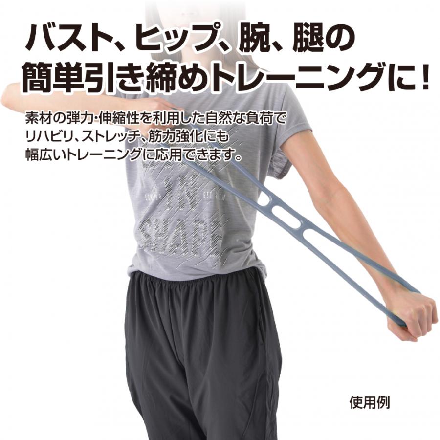 TIGORA（ティゴラ） ソフトエキスパンダー ハードタイプ 胸筋 腕