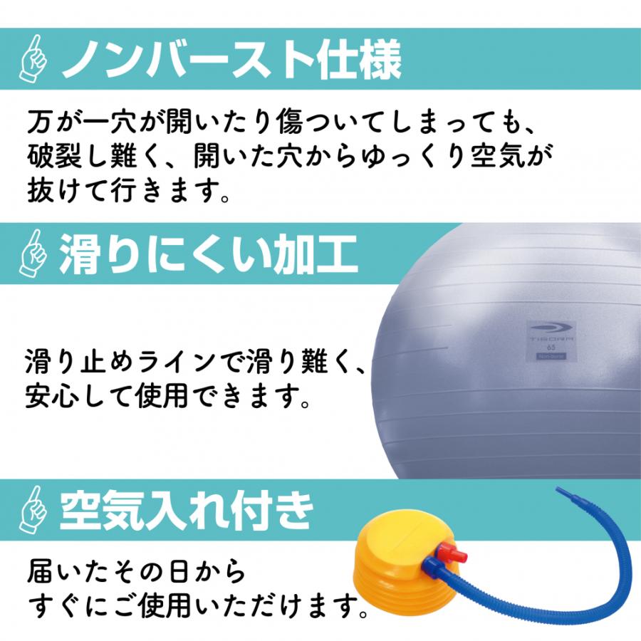 TIGORA（ティゴラ） ノンバーストタイプバランスボール 55cm サックス