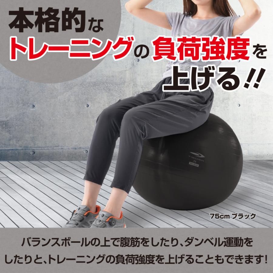 TIGORA（ティゴラ） ジムボール フィットネスボール バランスボール