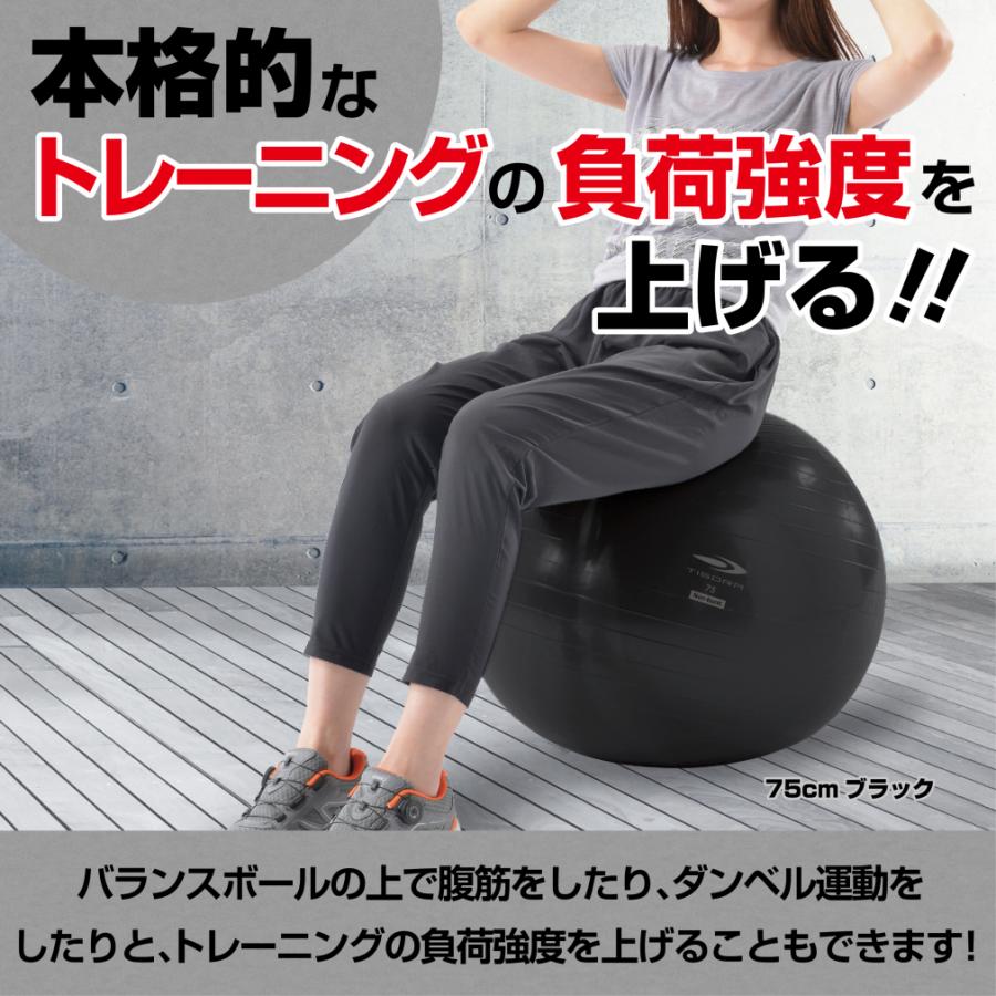 WONDER MAX バランスボール セット TIGORA（ティゴラ） ノンバーストタイプバランスボール 65cm パープル