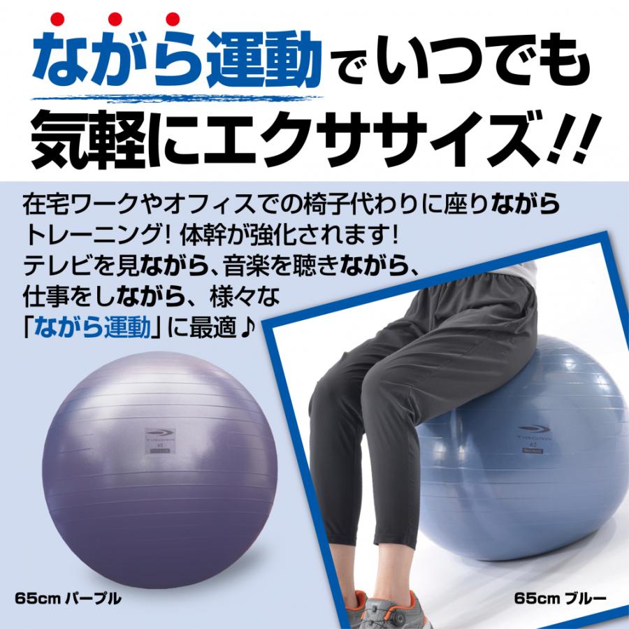 TIGORA（ティゴラ） ノンバーストタイプバランスボール 75cm ブラック
