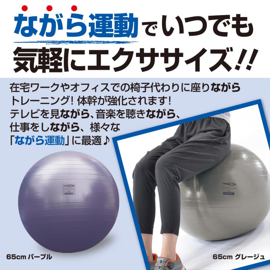 ジムテリラ バランスボール 【公式通販】