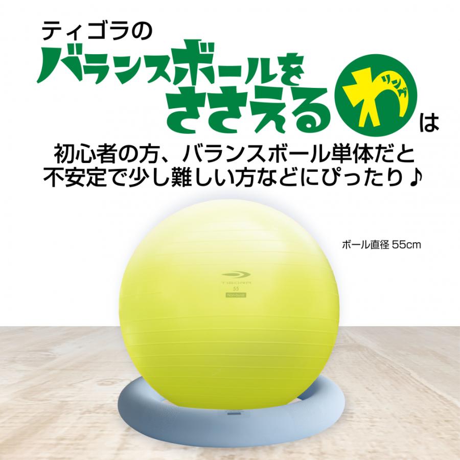 TIGORA ティゴラ バランスボールをささえるわ バランスボール