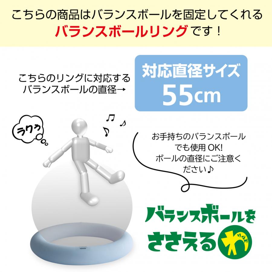 ジムテリラ　バランスボール alpen-group_4746039003