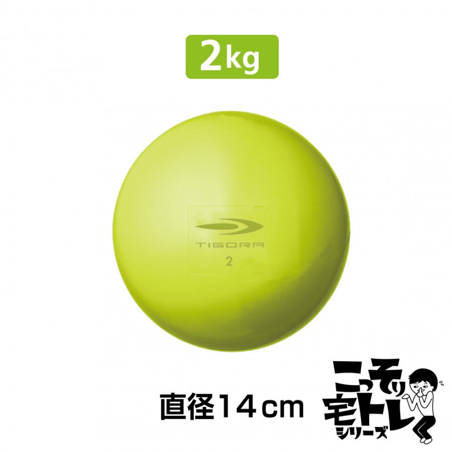 TIGORA（ティゴラ） 砂鉄 表面PVCソフトウェイトボール2KG TR