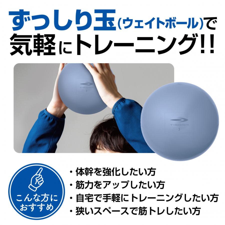 TIGORA（ティゴラ） 砂鉄 表面PVCソフトウェイトボール3KG TR