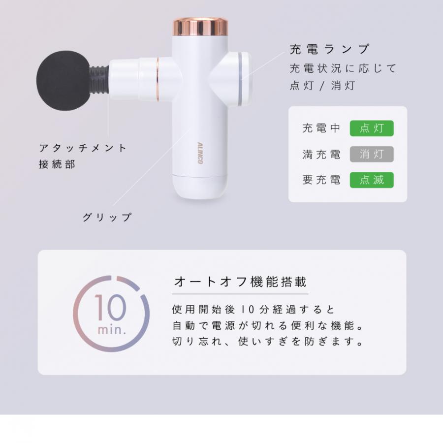 ALINCO（アルインコ） 限定カラー BODY SHAPE GUN ボディシェイプガン