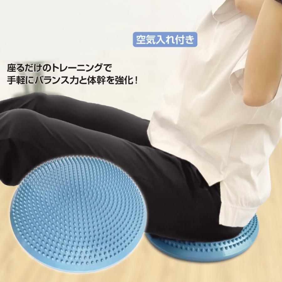 TIGORA（ティゴラ） バランスクッション 空気入れ付き 直径35cm 耐荷重