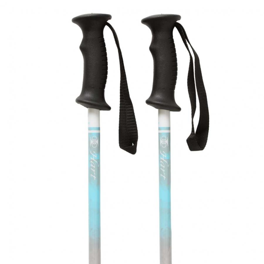 Hartスキー ポールセット Hart（ハート） AL-AJSチーム サックス ジュニア キッズ 子供 スキー