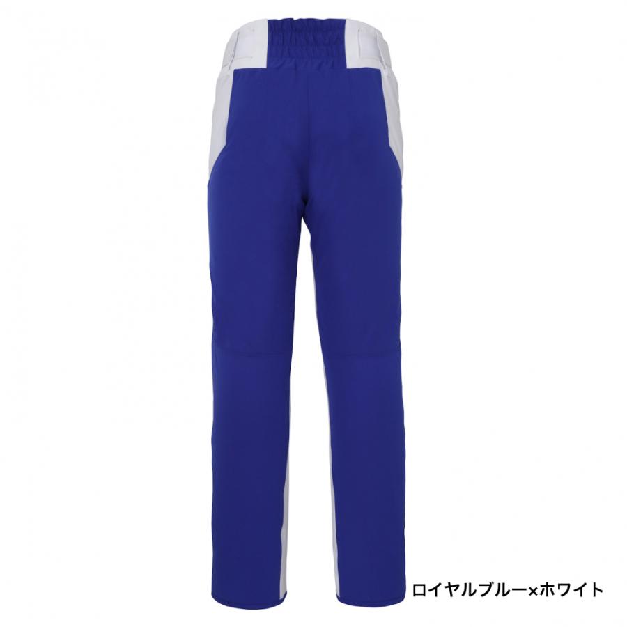 フェニックス（PHENIX） スキー パンツ phenix Team 3-D Pants