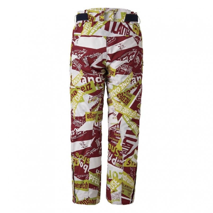 MIZUNO（ミズノ） スキー パンツ Free Ski Solid/Print Pants