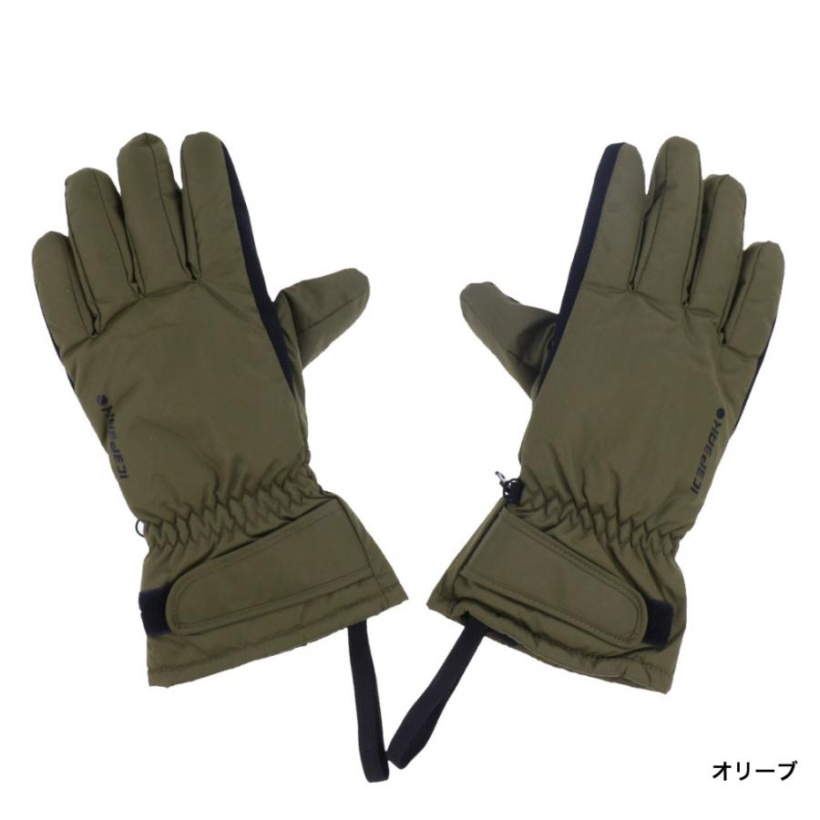 ICEPEAK（アイスピーク） メンズ スキー グローブ HAYDEN_アイスピーク
