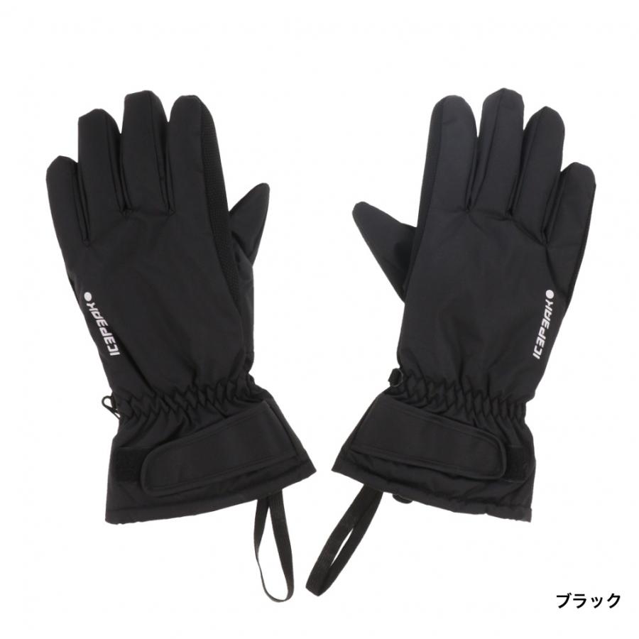ICEPEAK（アイスピーク） メンズ スキー グローブ HAYDEN_アイスピーク