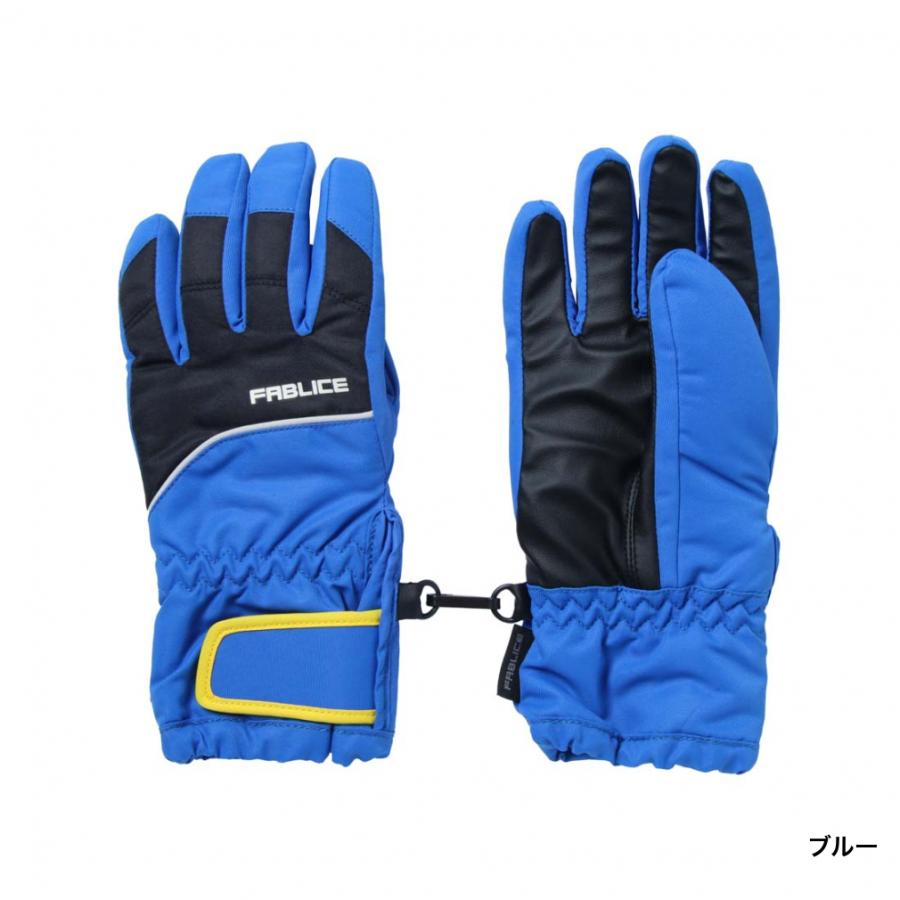 ファブリススキー用手袋 FABLICE（ファブリス） メンズ スキー グローブ ユニ スキーレザー