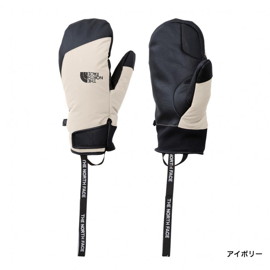 スキー north face THE NORTH FACE（ザ ノースフェイス） メンズ スキー グローブ Fakie