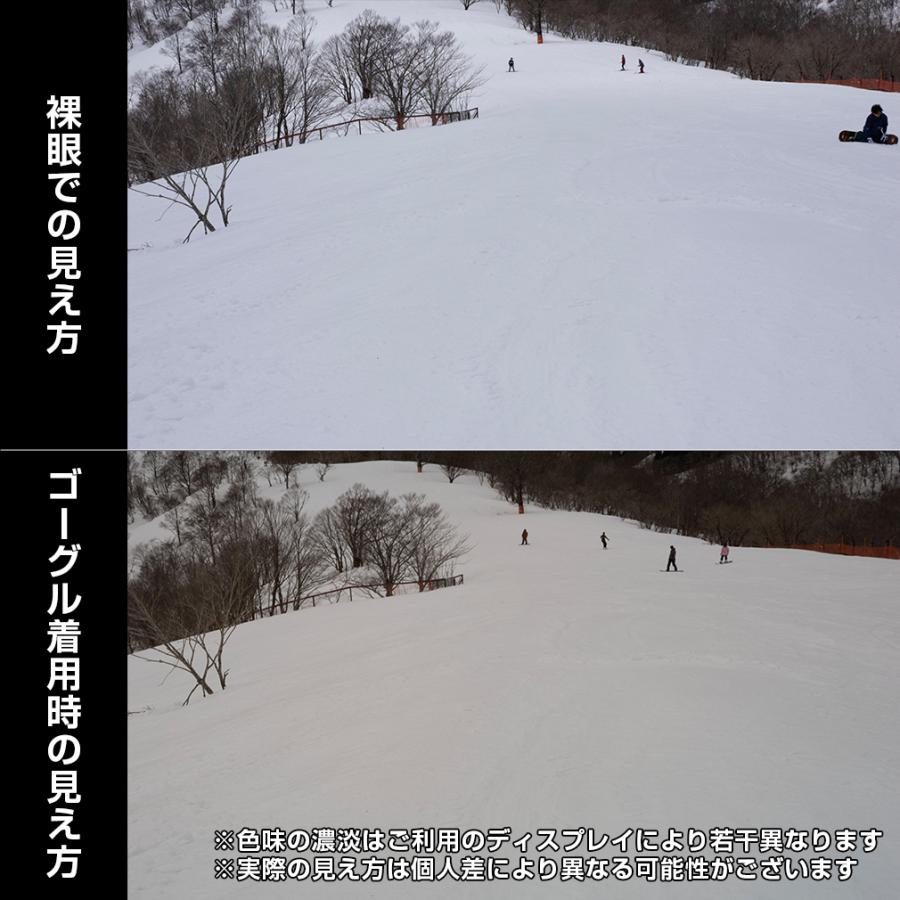 SALOMON（サロモン） エスビュー_S/VIEW 3 PHOTOCHROMIC L47916800